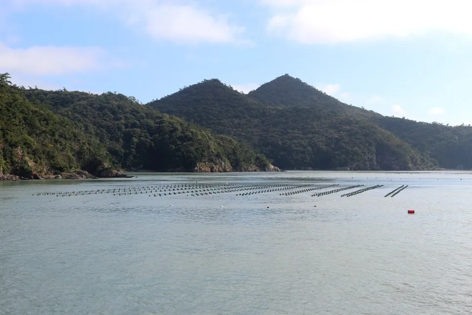 %EA%BE%B8%EB%AF%B8%EA%B8%B0%EA%BE%B8%EB%AF%B8%EA%B8%B0IMG_6559.JPG?type=w966