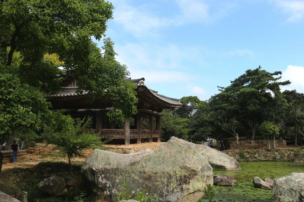 %EA%BE%B8%EB%AF%B8%EA%B8%B0%EA%BE%B8%EB%AF%B8%EA%B8%B0IMG_6580.JPG?type=w966