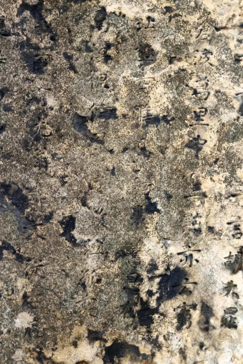 %EA%BE%B8%EB%AF%B8%EA%B8%B0%EA%BE%B8%EB%AF%B8%EA%B8%B0IMG_6663.JPG?type=w966