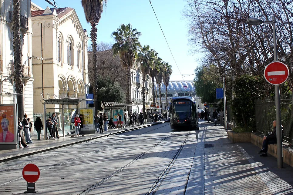 IMG_6686%EC%88%98%EC%A0%95.JPG?type=w966