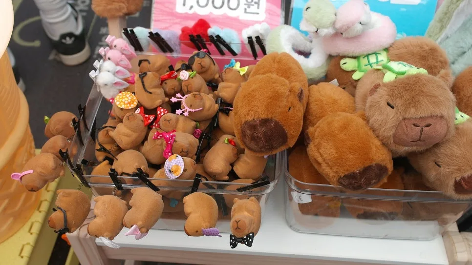 %EA%BE%B8%EB%AF%B8%EA%B8%B0%EA%BE%B8%EB%AF%B8%EA%B8%B0SAM_0159.JPG?type=w966