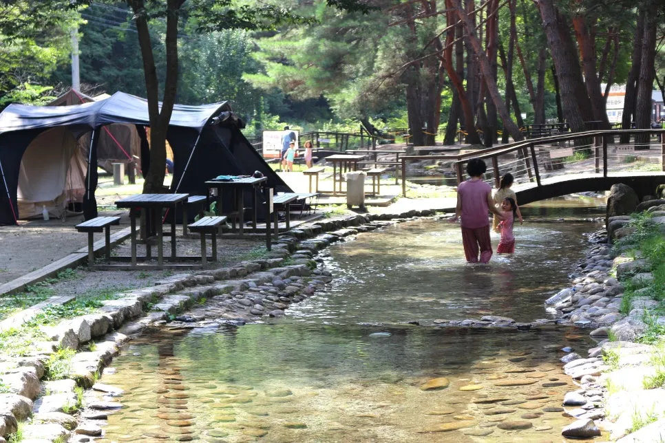 %EA%BE%B8%EB%AF%B8%EA%B8%B0%EA%BE%B8%EB%AF%B8%EA%B8%B0IMG_6104.JPG?type=w966