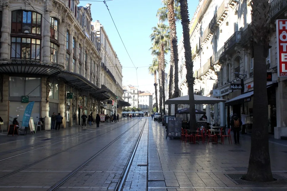 IMG_6687%EC%88%98%EC%A0%95.JPG?type=w966