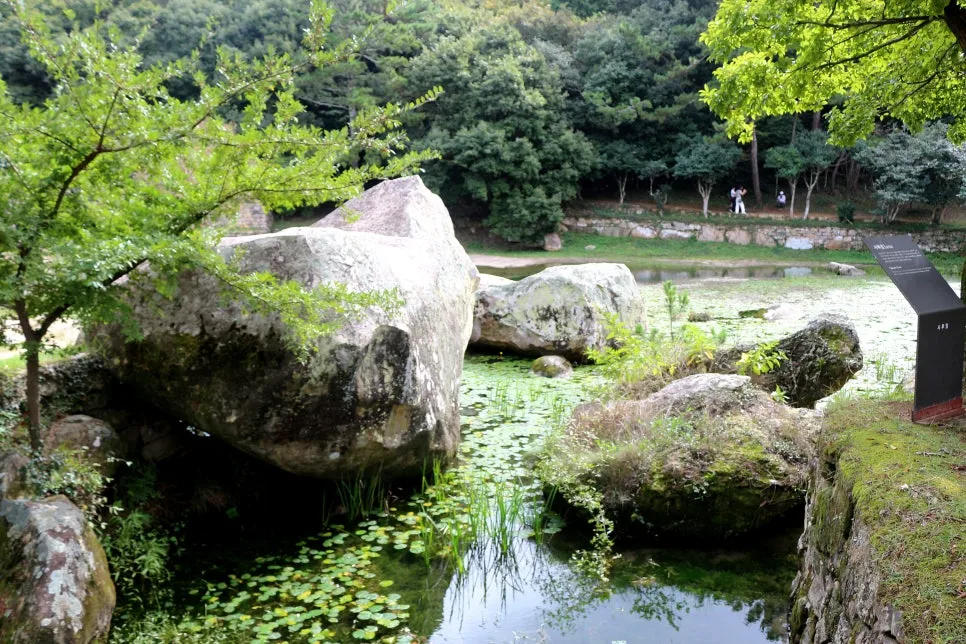 %EA%BE%B8%EB%AF%B8%EA%B8%B0%EA%BE%B8%EB%AF%B8%EA%B8%B0IMG_6583.JPG?type=w966