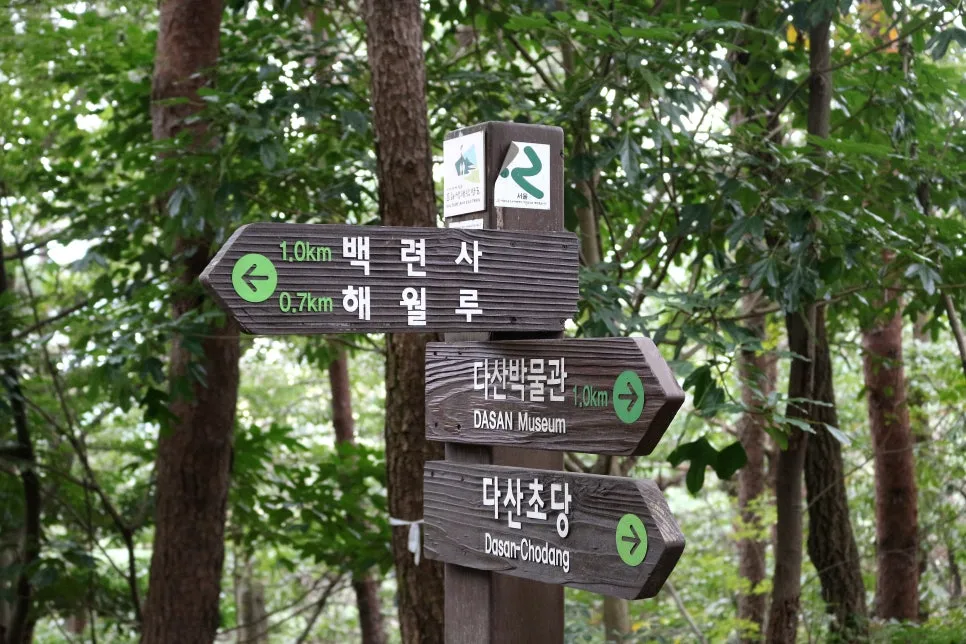 %EA%BE%B8%EB%AF%B8%EA%B8%B0IMG_6385.JPG?type=w966