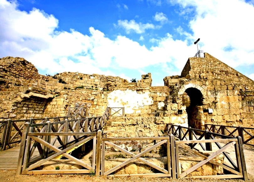 %EA%BE%B8%EB%AF%B8%EA%B8%B0530.jpg?type=w966