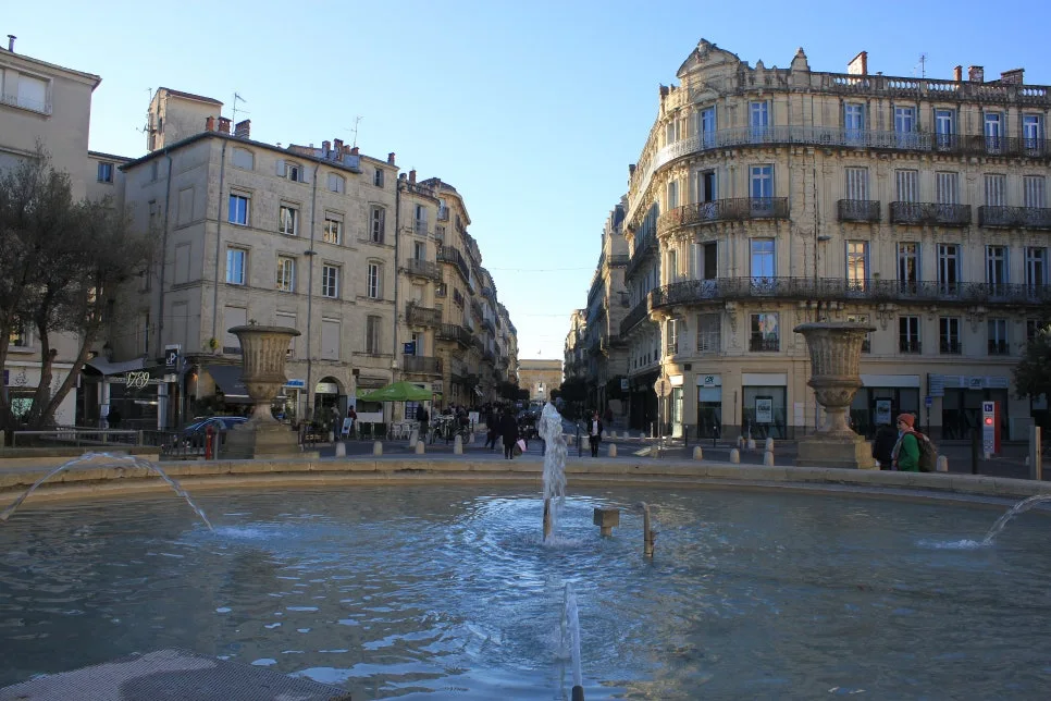 IMG_6746%EC%88%98%EC%A0%95.JPG?type=w966