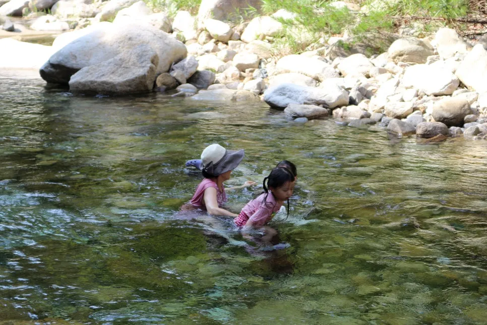 %EA%BE%B8%EB%AF%B8%EA%B8%B0%EA%BE%B8%EB%AF%B8%EA%B8%B0IMG_6111.JPG?type=w966