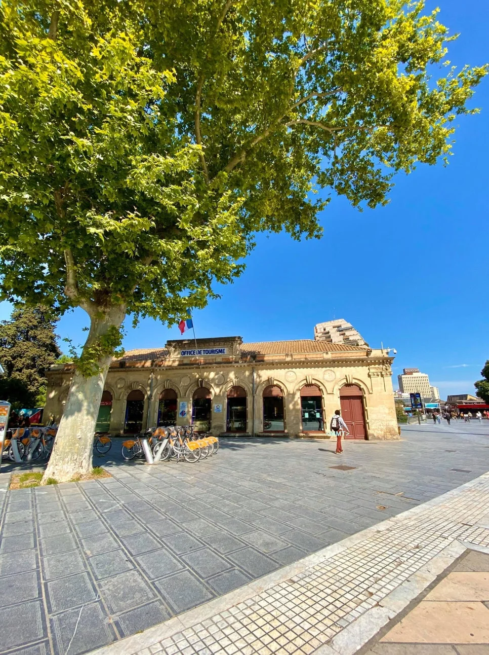 99120700_3473899272639291_4625879588260544512_n%EC%88%98%EC%A0%95.jpg?type=w966