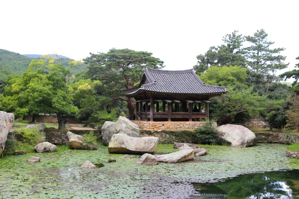 %EA%BE%B8%EB%AF%B8%EA%B8%B0%EA%BE%B8%EB%AF%B8%EA%B8%B0IMG_6626.JPG?type=w966