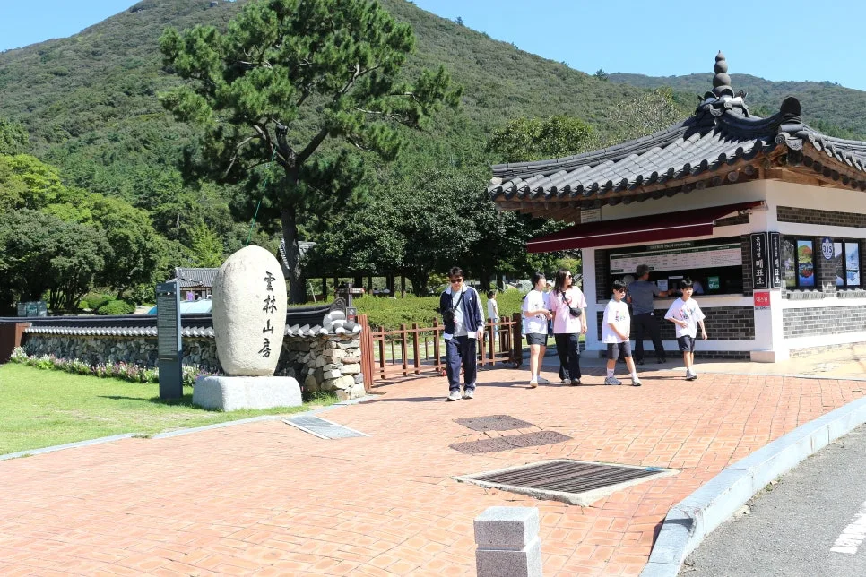 %EA%BE%B8%EB%AF%B8%EA%B8%B0IMG_7013.JPG?type=w966