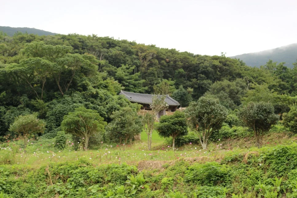 %EA%BE%B8%EB%AF%B8%EA%B8%B0%EA%BE%B8%EB%AF%B8%EA%B8%B0IMG_6636.JPG?type=w966