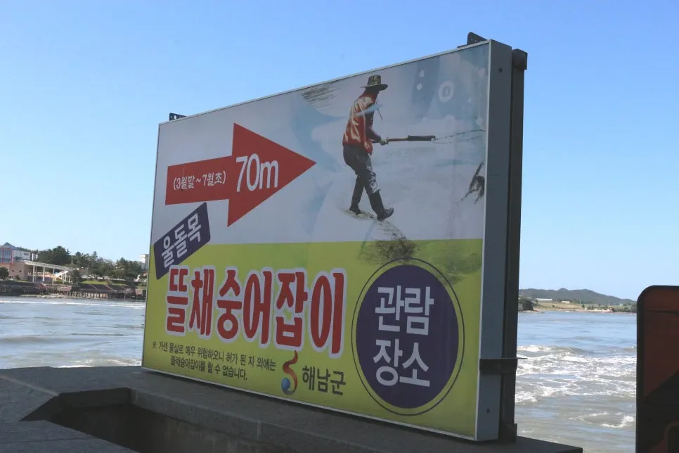 %EA%BE%B8%EB%AF%B8%EA%B8%B0IMG_6984.JPG?type=w966