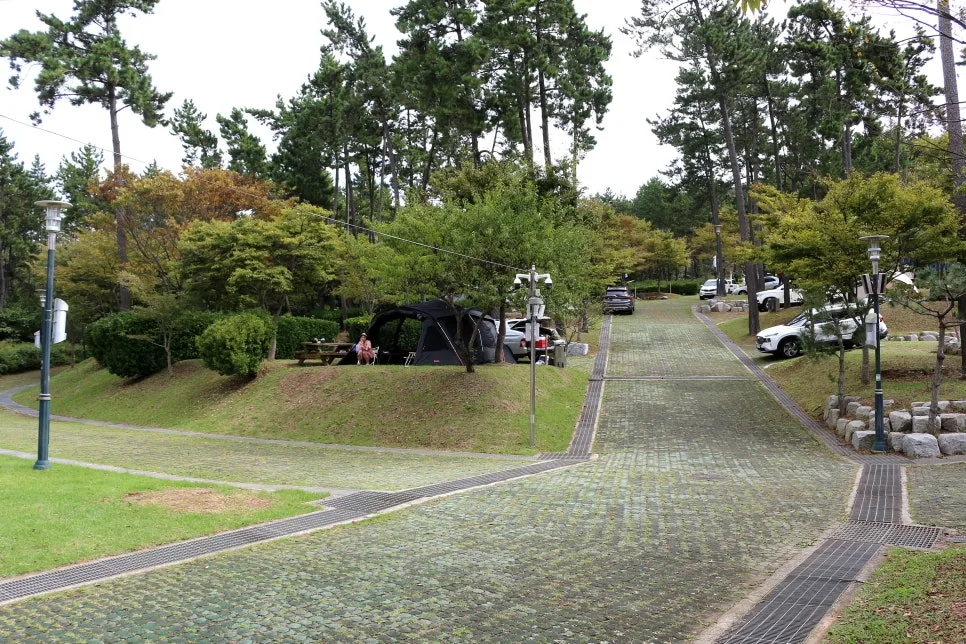 %EA%BE%B8%EB%AF%B8%EA%B8%B0%EA%BE%B8%EB%AF%B8%EA%B8%B0IMG_6437.JPG?type=w966