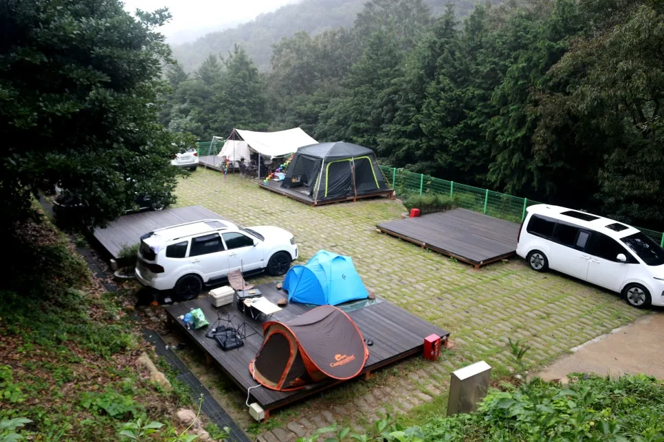 %EA%BE%B8%EB%AF%B8%EA%B8%B0IMG_6416.JPG?type=w966