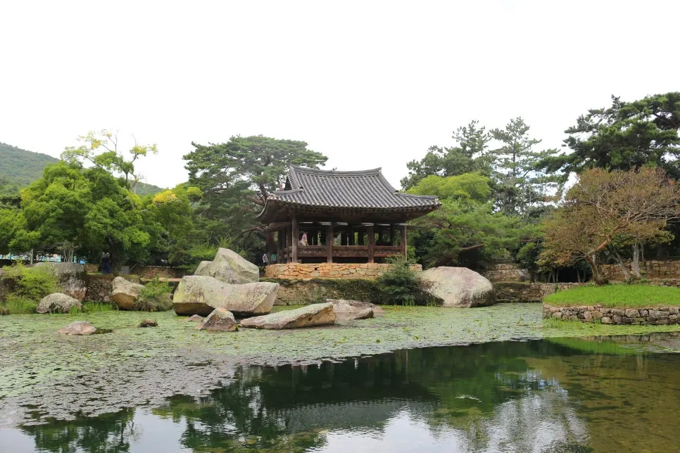 %EA%BE%B8%EB%AF%B8%EA%B8%B0%EA%BE%B8%EB%AF%B8%EA%B8%B0IMG_6623.JPG?type=w966