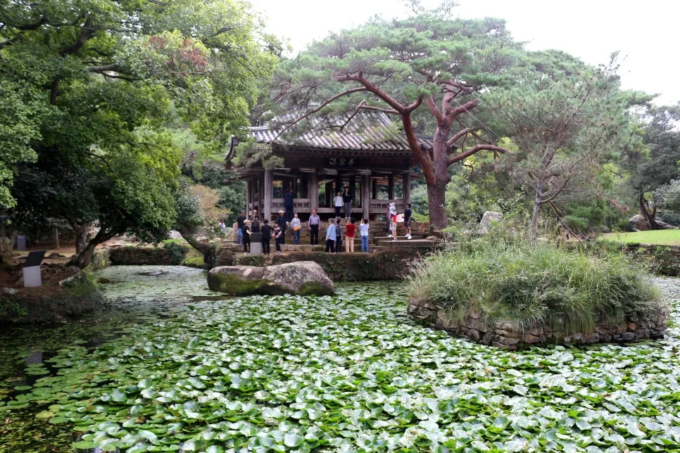 %EA%BE%B8%EB%AF%B8%EA%B8%B0%EA%BE%B8%EB%AF%B8%EA%B8%B0IMG_6607.JPG?type=w966