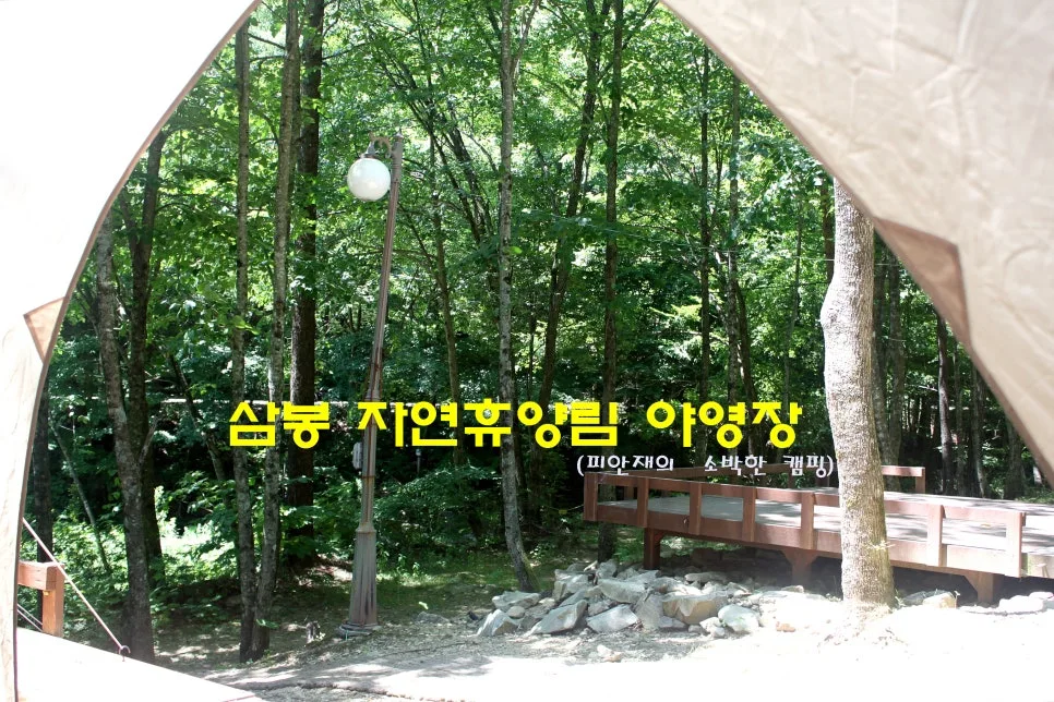 %EA%BE%B8%EB%AF%B8%EA%B8%B0%EA%BE%B8%EB%AF%B8%EA%B8%B0IMG_8600.JPG?type=w966