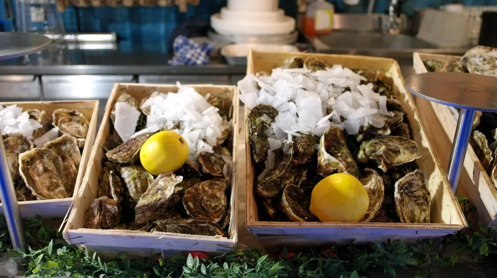 SAM_0359%EC%88%98%EC%A0%95.JPG?type=w966