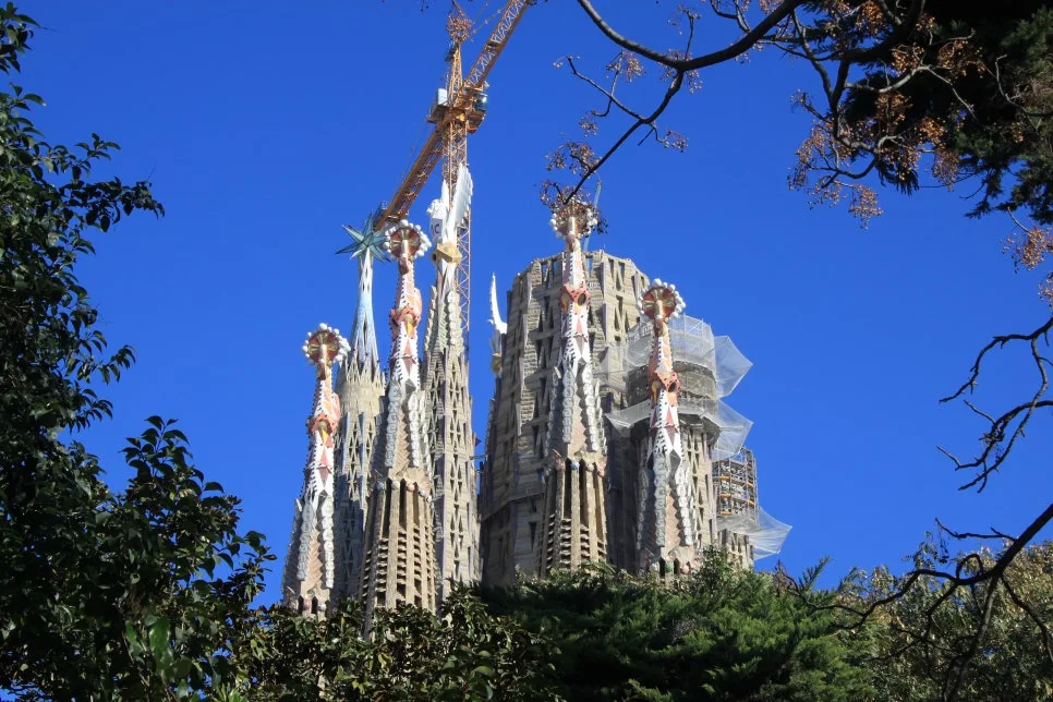 %EA%BE%B8%EB%AF%B8%EA%B8%B0IMG_7175.JPG?type=w966