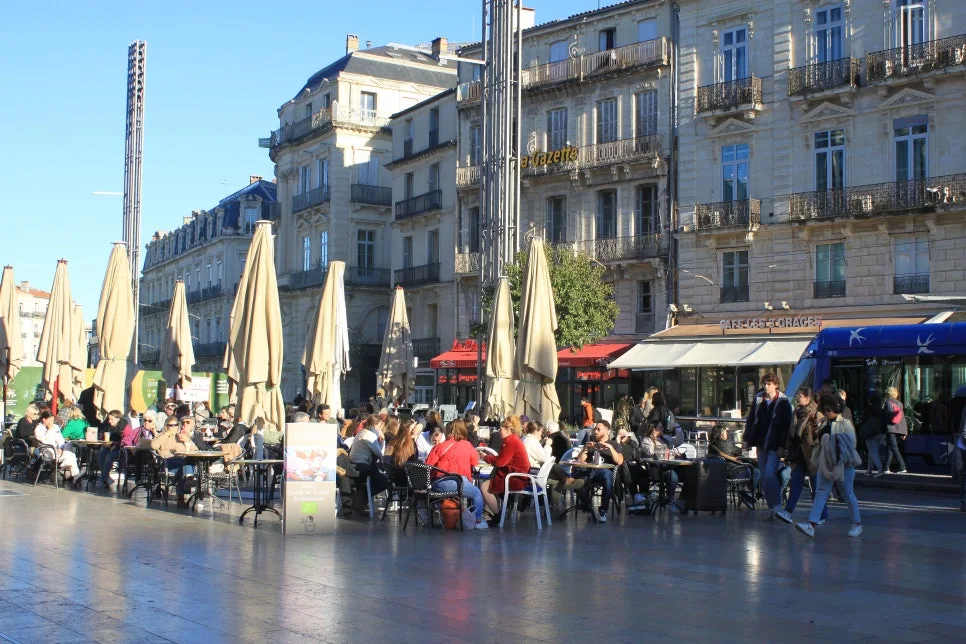 IMG_6726%EC%88%98%EC%A0%95.JPG?type=w966