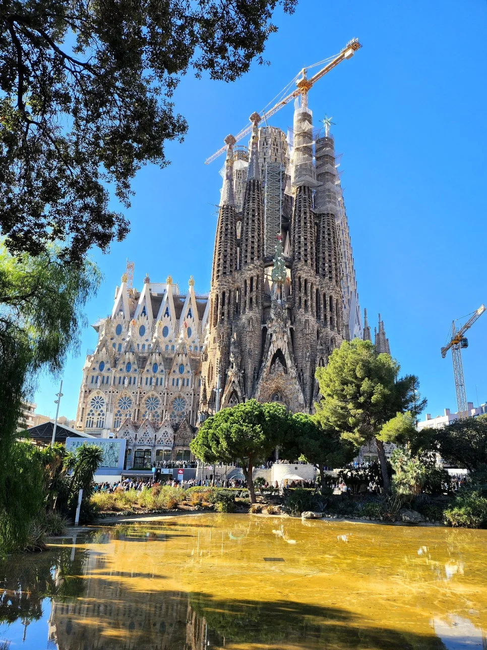 %EA%BE%B8%EB%AF%B8%EA%B8%B020230205_112151.jpg?type=w966