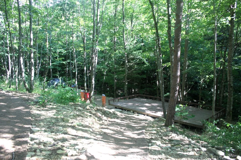 %EA%BE%B8%EB%AF%B8%EA%B8%B0%EA%BE%B8%EB%AF%B8%EA%B8%B0IMG_8619.JPG?type=w966