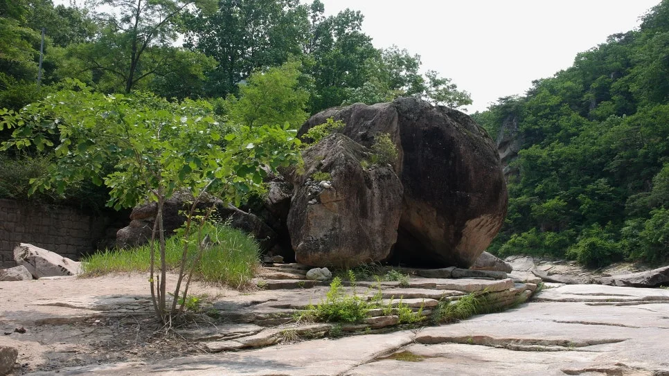 %EA%BE%B8%EB%AF%B8%EA%B8%B0%EA%BE%B8%EB%AF%B8%EA%B8%B0SAM_0085.JPG?type=w966