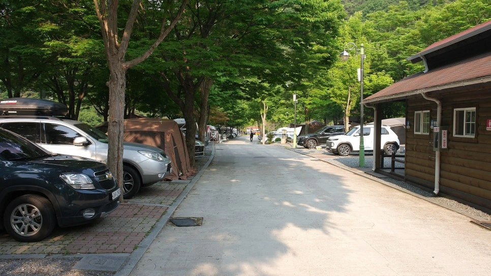 c2e127b89799e11bf47b70eb32d5f8e3bf36b7b9.jpg?type=w966