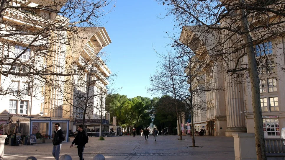 SAM_0439%EC%88%98%EC%A0%95.JPG?type=w966