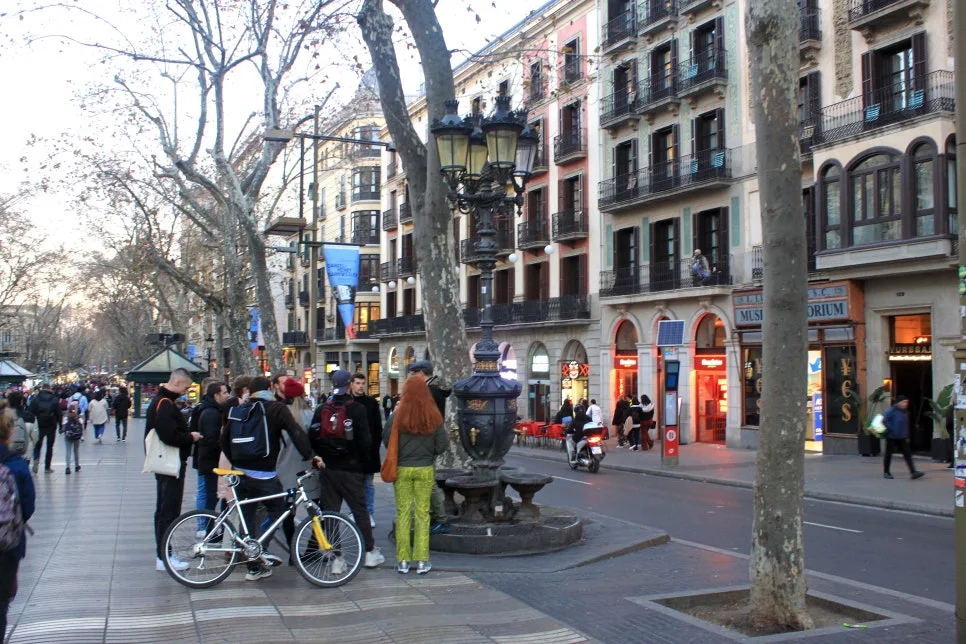 %EA%BE%B8%EB%AF%B8%EA%B8%B0IMG_6805.JPG?type=w966