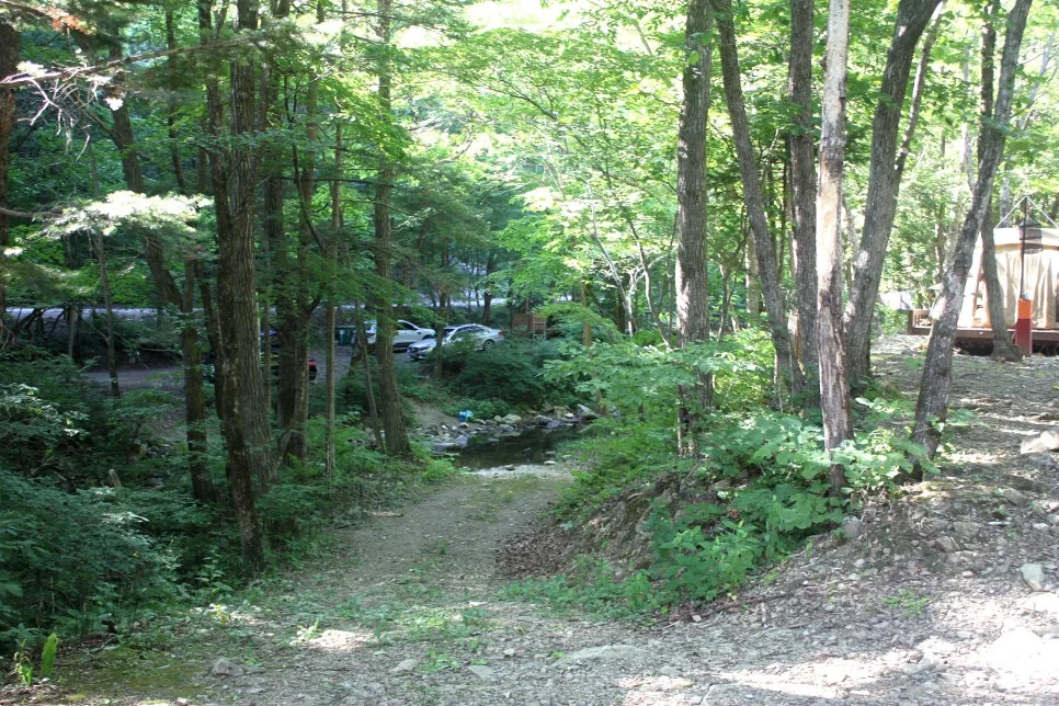 %EA%BE%B8%EB%AF%B8%EA%B8%B0%EA%BE%B8%EB%AF%B8%EA%B8%B0IMG_8624.JPG?type=w966