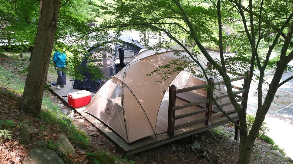 %EA%BE%B8%EB%AF%B8%EA%B8%B0%EA%BE%B8%EB%AF%B8%EA%B8%B0SAM_0019.JPG?type=w966