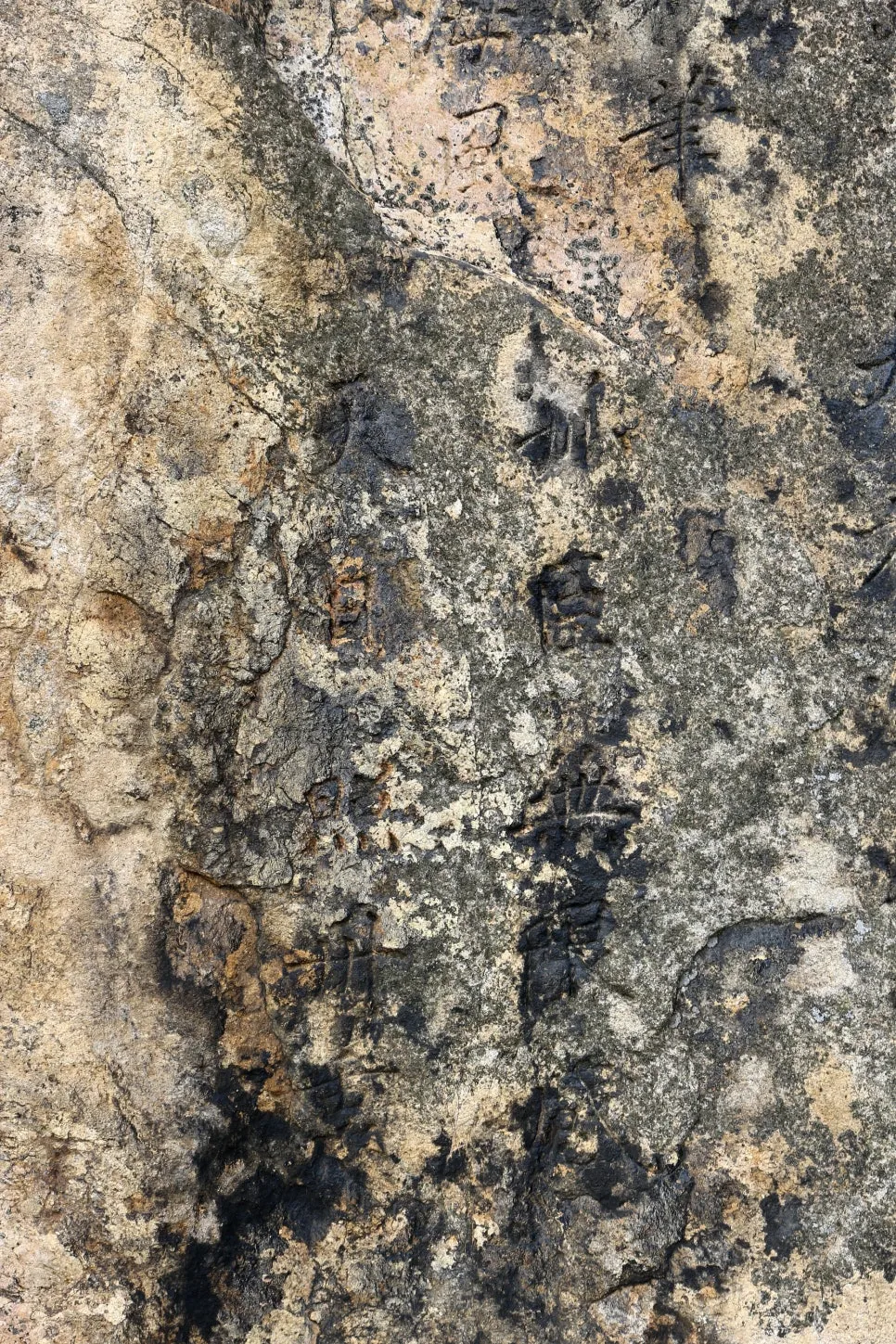 %EA%BE%B8%EB%AF%B8%EA%B8%B0%EA%BE%B8%EB%AF%B8%EA%B8%B0IMG_6660.JPG?type=w966