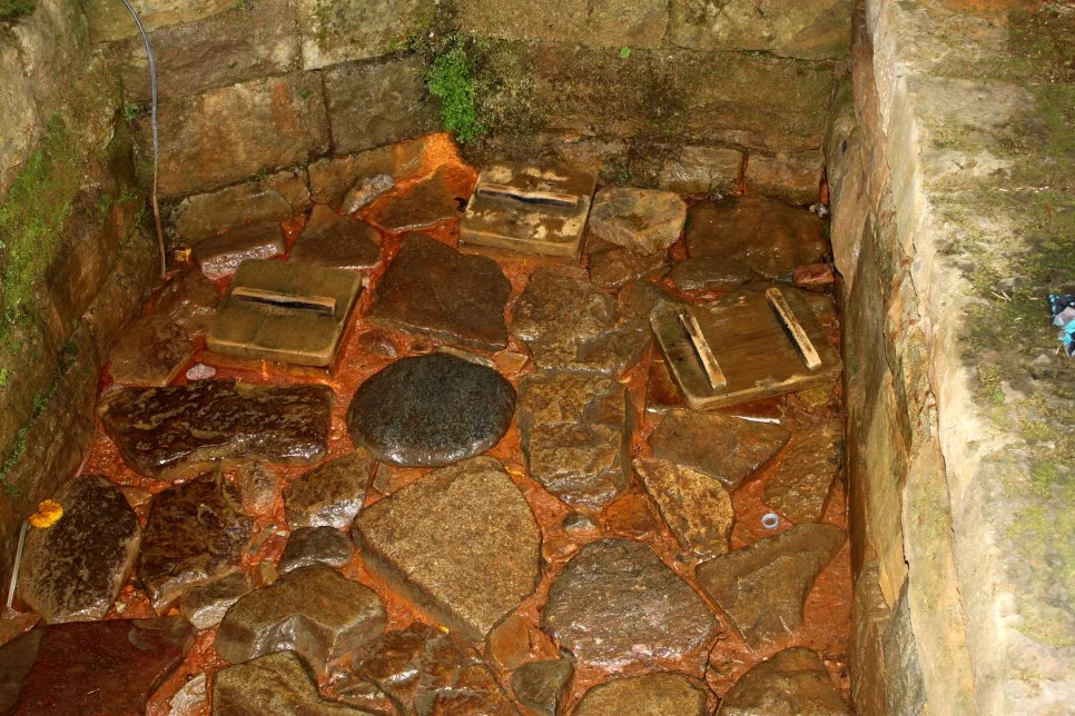 %EA%BE%B8%EB%AF%B8%EA%B8%B0%EA%BE%B8%EB%AF%B8%EA%B8%B0IMG_8648.JPG?type=w966