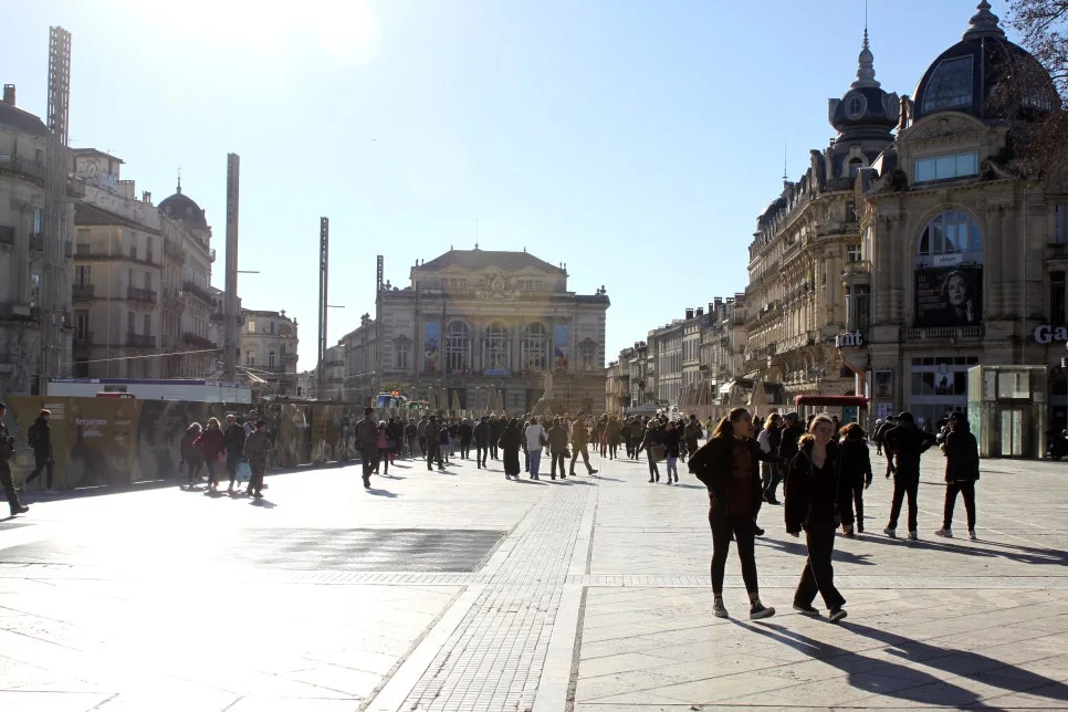 IMG_6710%EC%88%98%EC%A0%95.JPG?type=w966