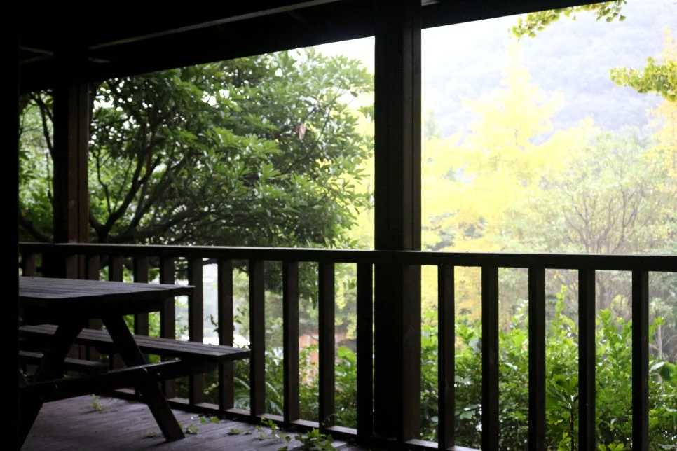 %EA%BE%B8%EB%AF%B8%EA%B8%B0IMG_6425.JPG?type=w966