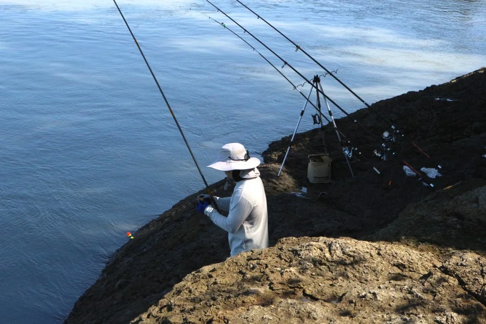 %EA%BE%B8%EB%AF%B8%EA%B8%B0IMG_6976.JPG?type=w966