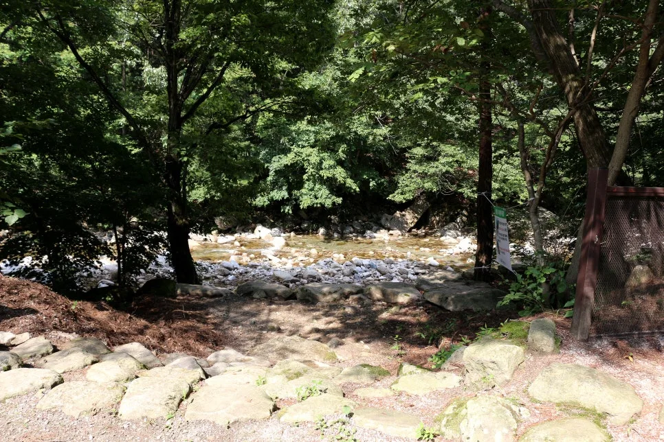 %EA%BE%B8%EB%AF%B8%EA%B8%B0IMG_6105.JPG?type=w966