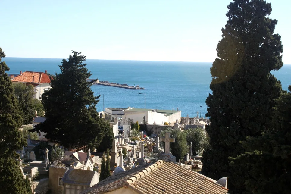 IMG_6642%EC%88%98%EC%A0%95.JPG?type=w966