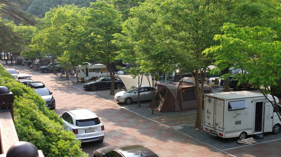 9a1fad3a9edeb7e64f78e7d52587deb77eca5025.jpg?type=w966