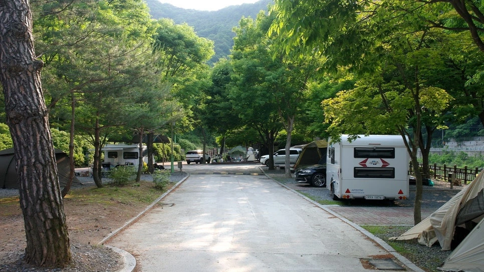 1d59b7442a4134223dd9df095a2fa693487bdc1a.jpg?type=w966