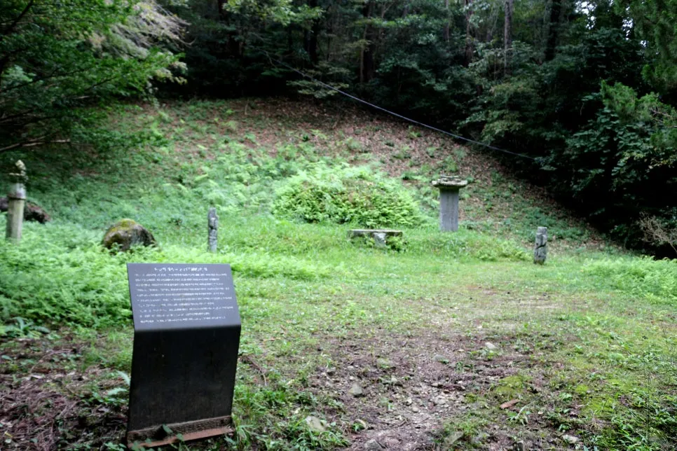 %EA%BE%B8%EB%AF%B8%EA%B8%B0IMG_6375.JPG?type=w966