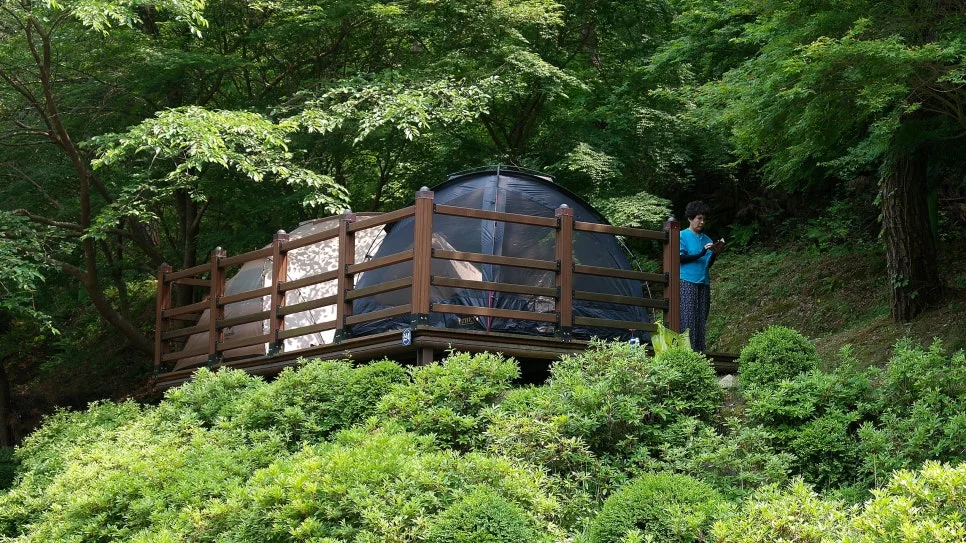 %EA%BE%B8%EB%AF%B8%EA%B8%B0%EA%BE%B8%EB%AF%B8%EA%B8%B0SAM_0029.JPG?type=w966