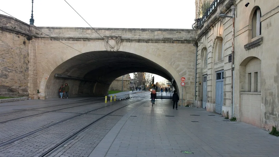 SAM_0273%EC%88%98%EC%A0%95.JPG?type=w966