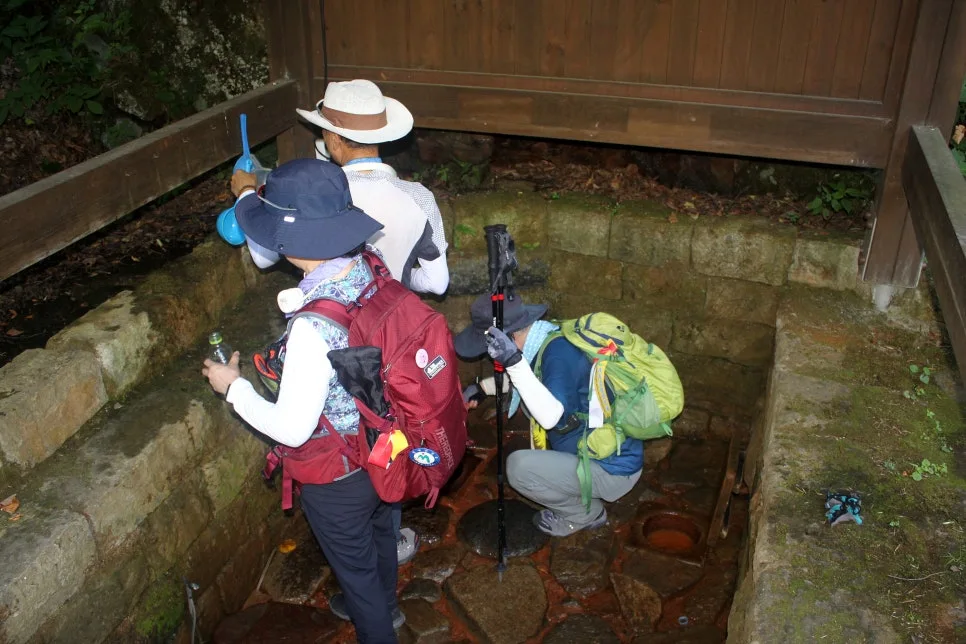 %EA%BE%B8%EB%AF%B8%EA%B8%B0%EA%BE%B8%EB%AF%B8%EA%B8%B0IMG_8646.JPG?type=w966