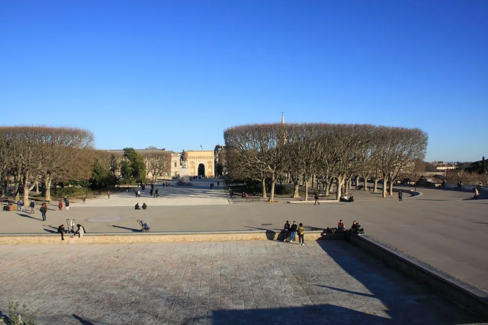 IMG_6768%EC%88%98%EC%A0%95.JPG?type=w966