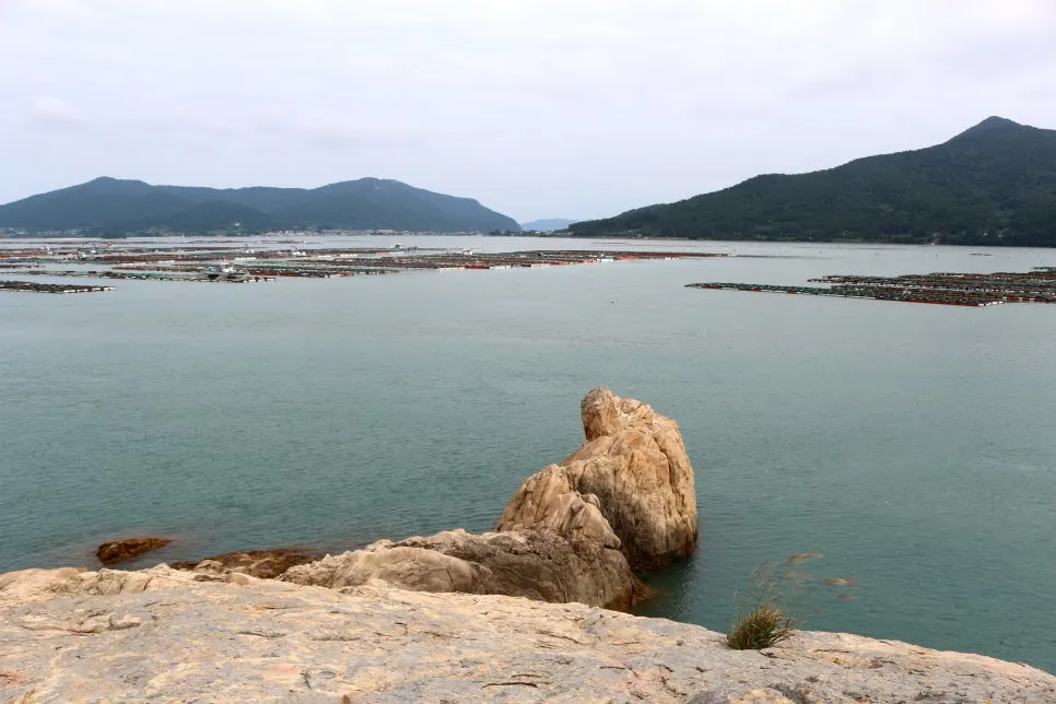 %EA%BE%B8%EB%AF%B8%EA%B8%B0%EA%BE%B8%EB%AF%B8%EA%B8%B0IMG_6662.JPG?type=w966