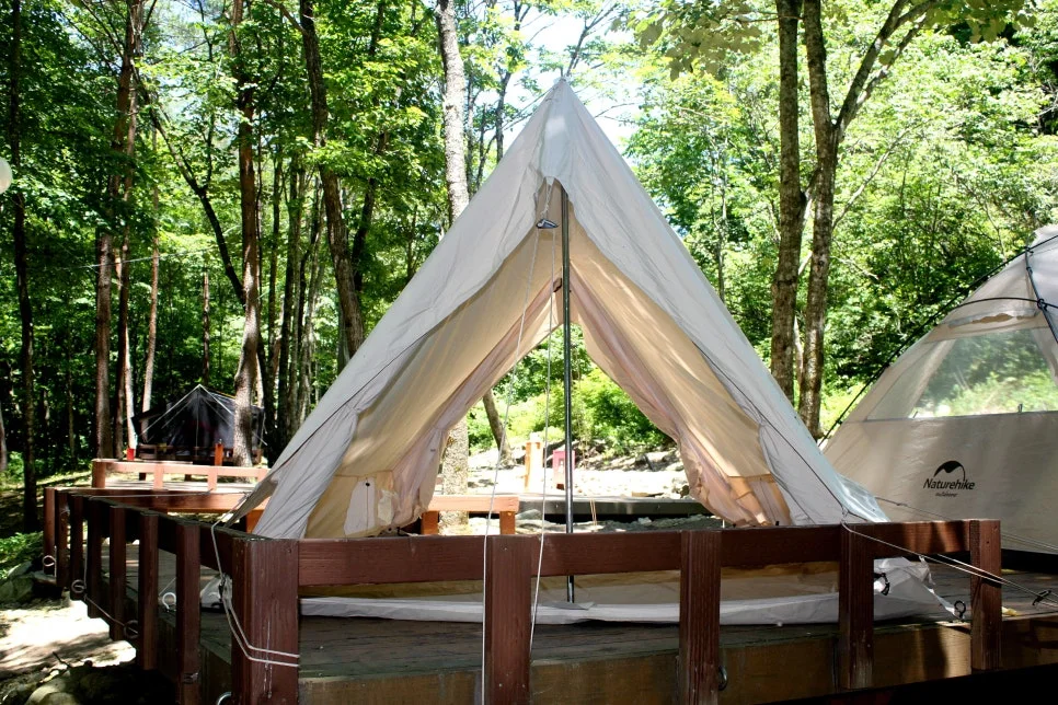 %EA%BE%B8%EB%AF%B8%EA%B8%B0%EA%BE%B8%EB%AF%B8%EA%B8%B0IMG_8587.JPG?type=w966