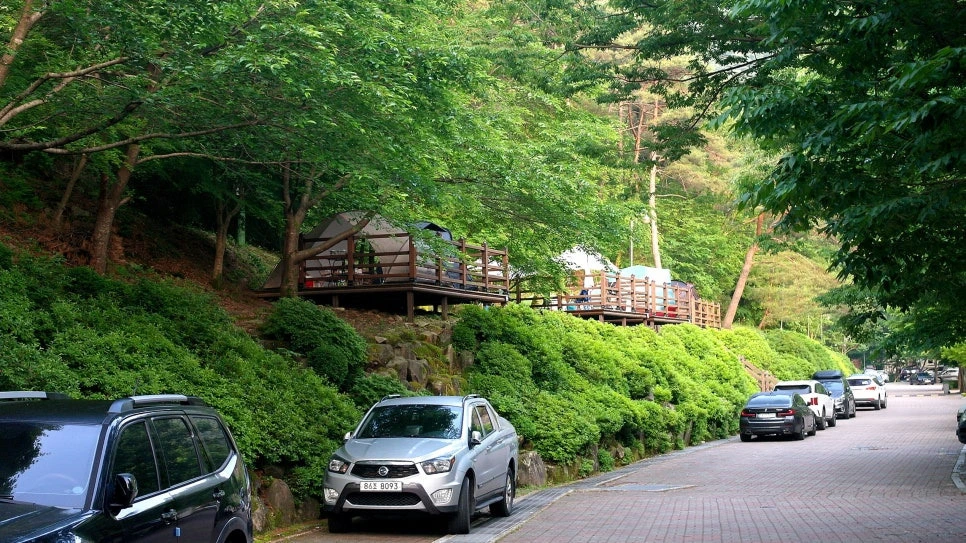 2d56791845fce9428e5c6a74dbaaaa5acbfcd930.jpg?type=w966